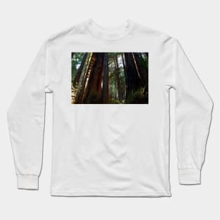 Redwoods Long Sleeve T-Shirt